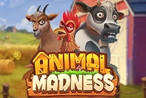 Animal Madness