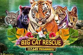 Big Cat Rescue Megaways