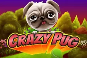 Crazy Pug
